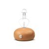 Waterless Pure Essential Oil Nebulizer(CL013)