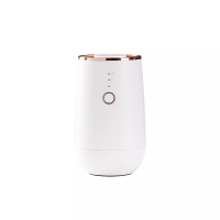 Waterless Car Essential Oil Nebulizer