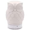 Ceramic Owl Diffuser with Nightlight & Essential Oil Humidifier