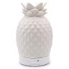 ceramic-diffuser-humidifier-pineapple-essential-oil-diffuser-with-led-light