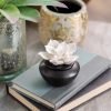 Gardenia Passive Diffuser (White Porcelain Flower) - Image 3