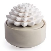 Succulent Passive Essential Oil Diffuser (White Porcelain)