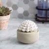 Succulent Passive Essential Oil Diffuser (White Porcelain) - Image 2