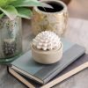 Succulent Passive Essential Oil Diffuser (White Porcelain) - Image 3