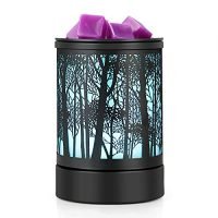 Sunset Lakeside Electric Wax Melt Warmer with 7 Color LED Light
