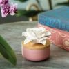 White Rose Porcelain Passive Diffuser (Wood Lid, Pink Base) - Image 3